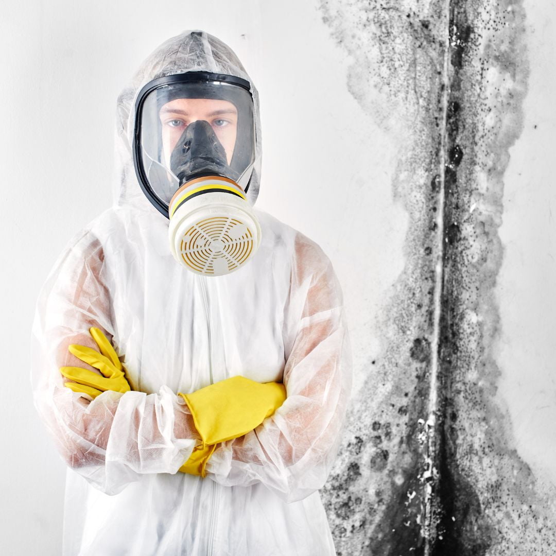 black mold with worker in PPE