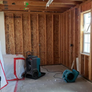 Importance of Professional Water Damage Restoration