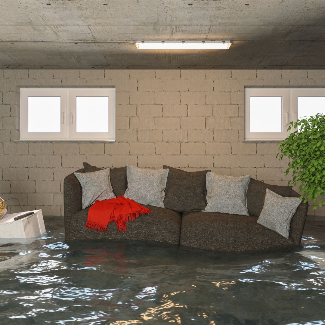 Couch, side table, and house plant in flooded basement