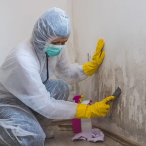 Mold remediation technician cleaning a wall