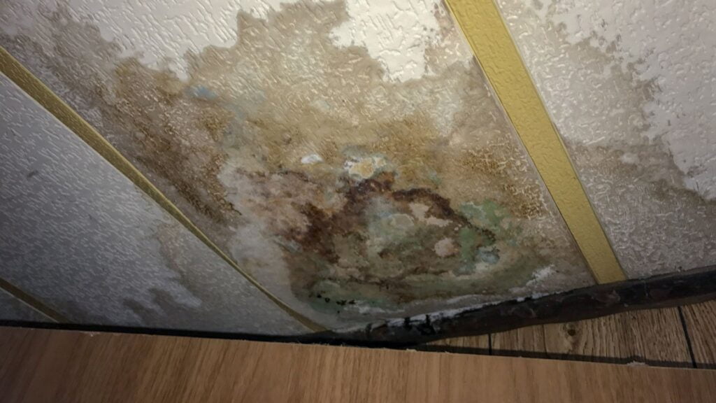 Health Risks of Water Damage