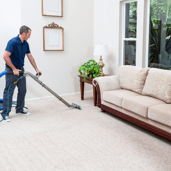 Carpet Cleaning