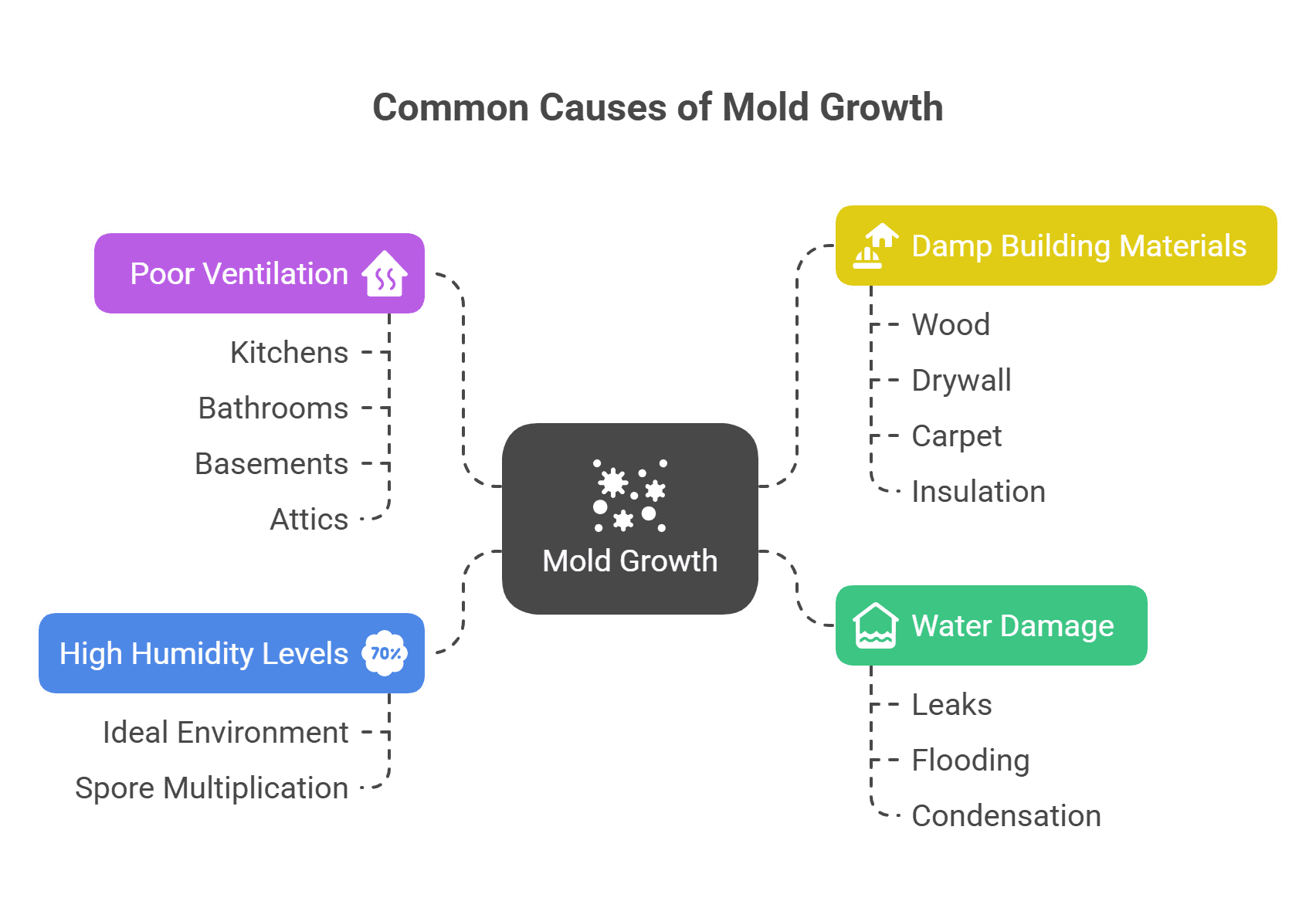 Common Causes of Mold Growth