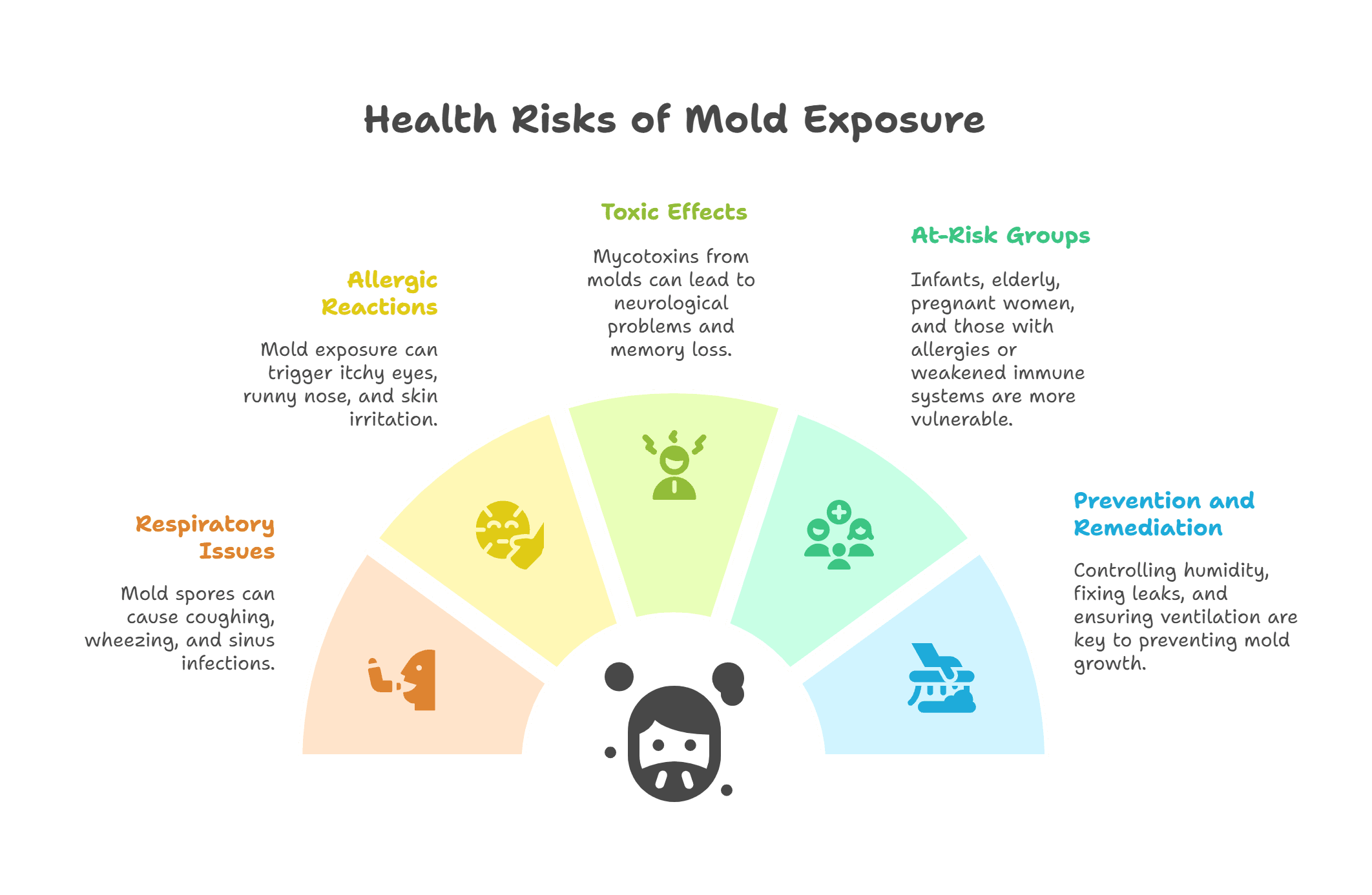 The Health Risks of Mold Exposure - visual selection