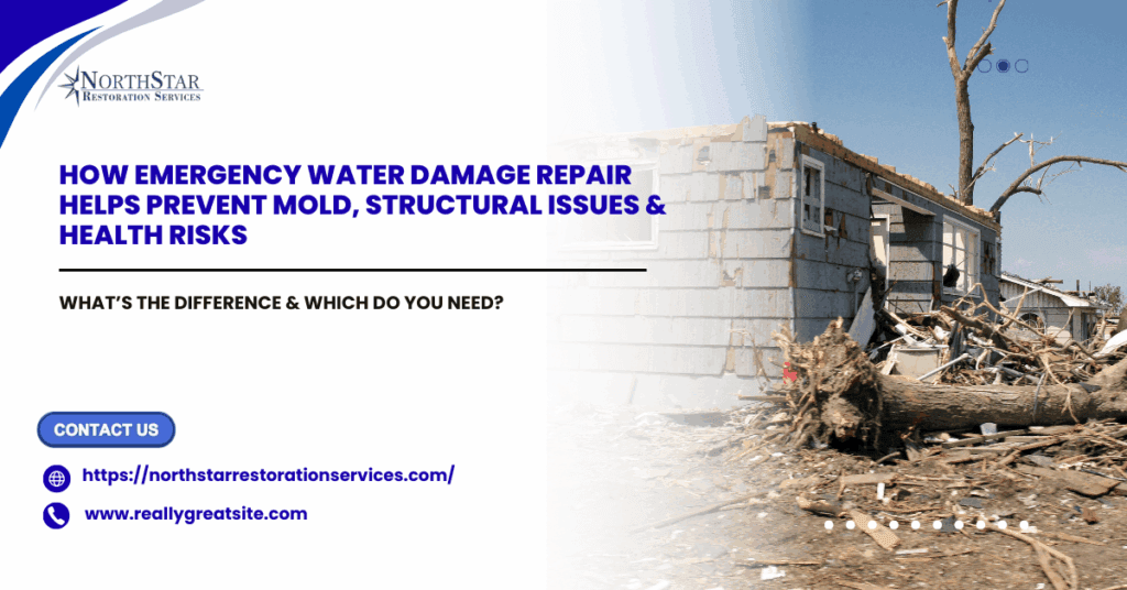 How Emergency Water Damage Repair Helps Prevent Mold, Structural Issues & Health Risks