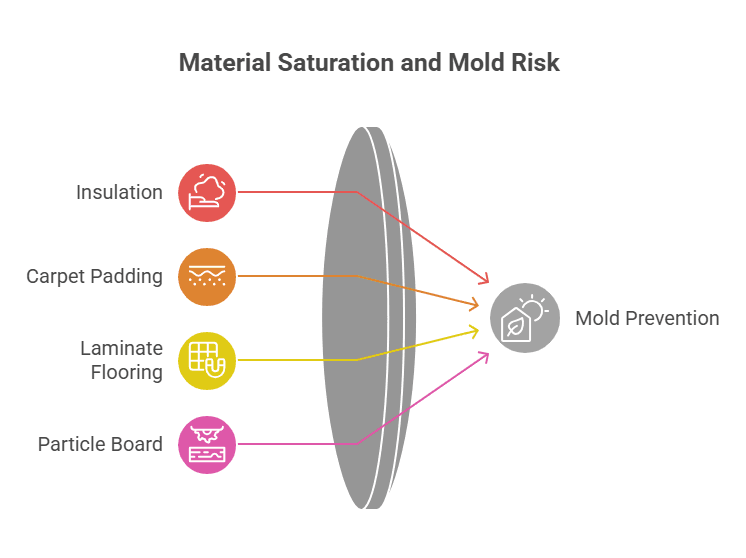 When to Replace Saturated Materials to Prevent Mold