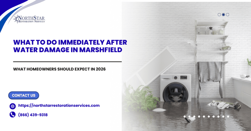 What to Do Immediately After Water Damage in Marshfield