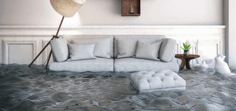 Untitled-design-2024-08-27T192500