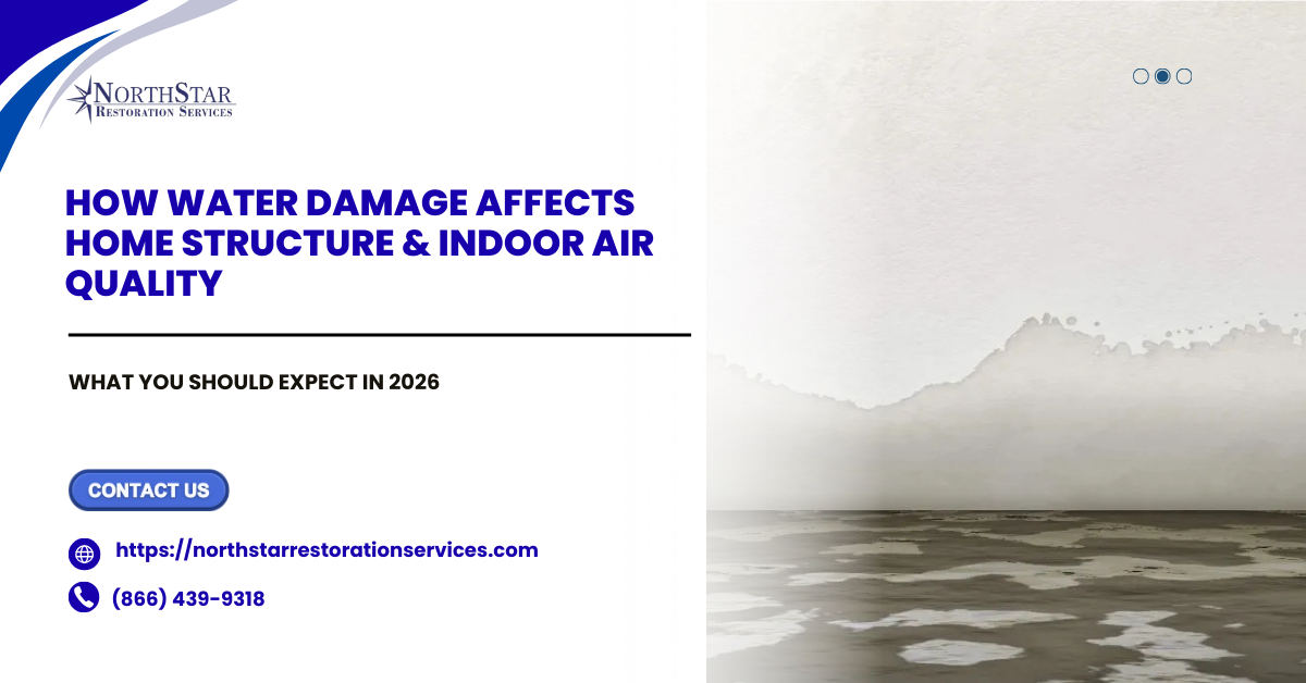 How Water Damage Affects Home Structure & Indoor Air Quality