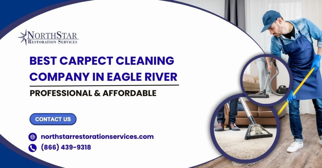 Best Carpet Cleaning Company in Eagle River | Professional & Affordable