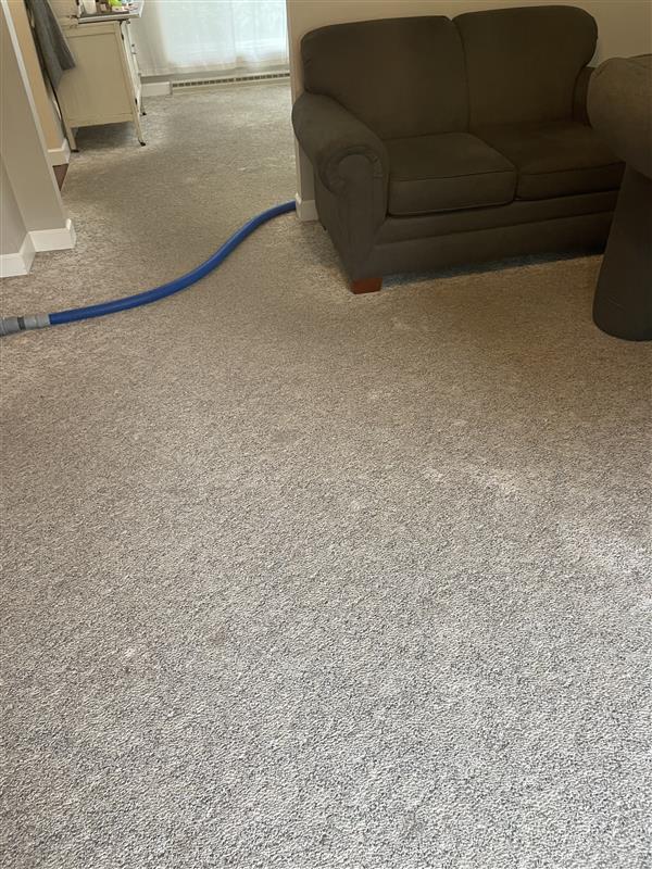 Carpet1After