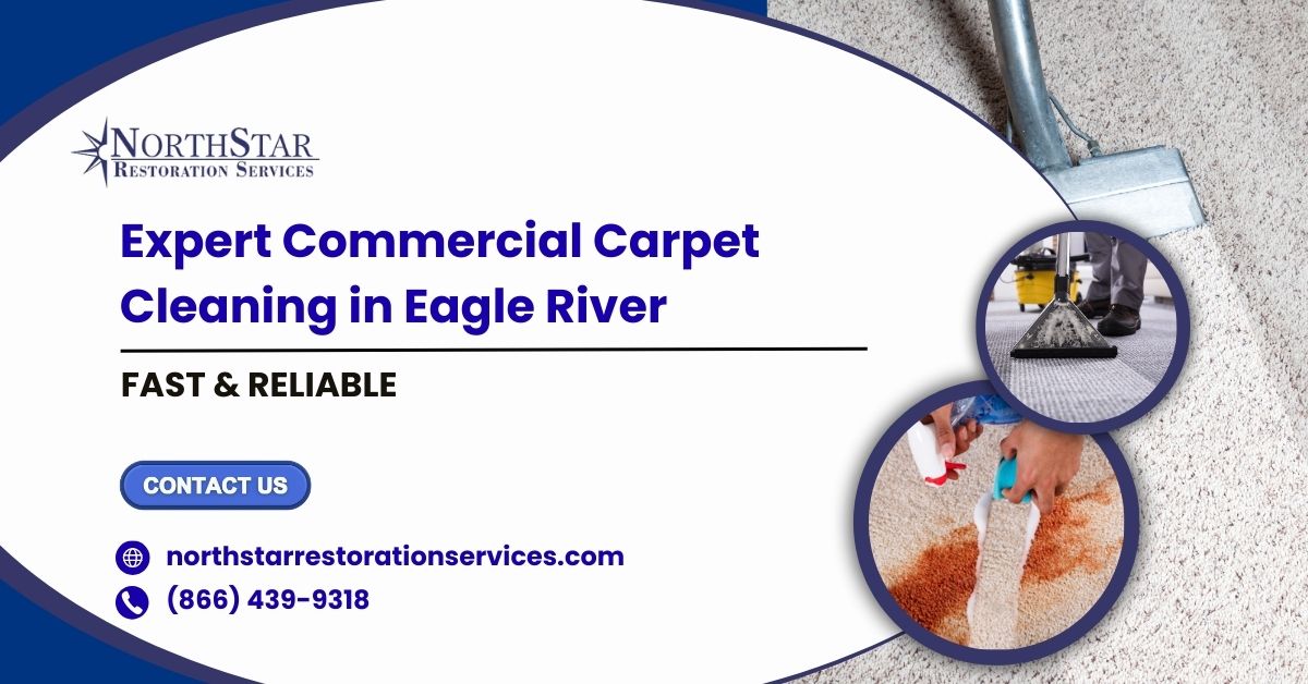 Commercial Carpet Cleaning in Eagle River