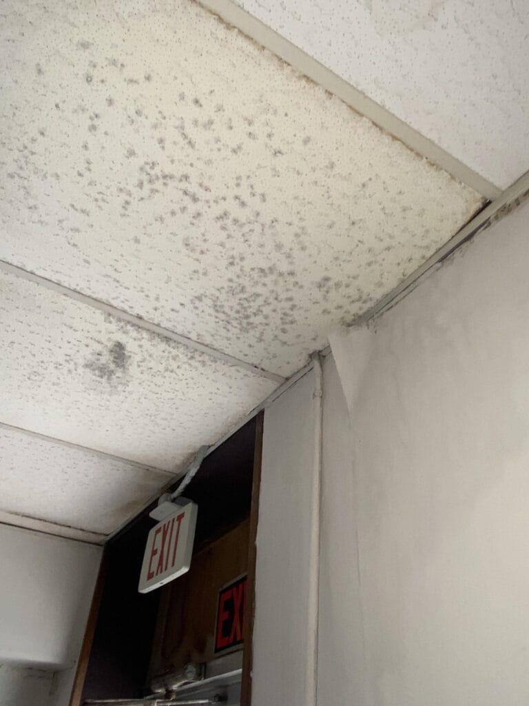 Biohazard Cleanup Green Bay