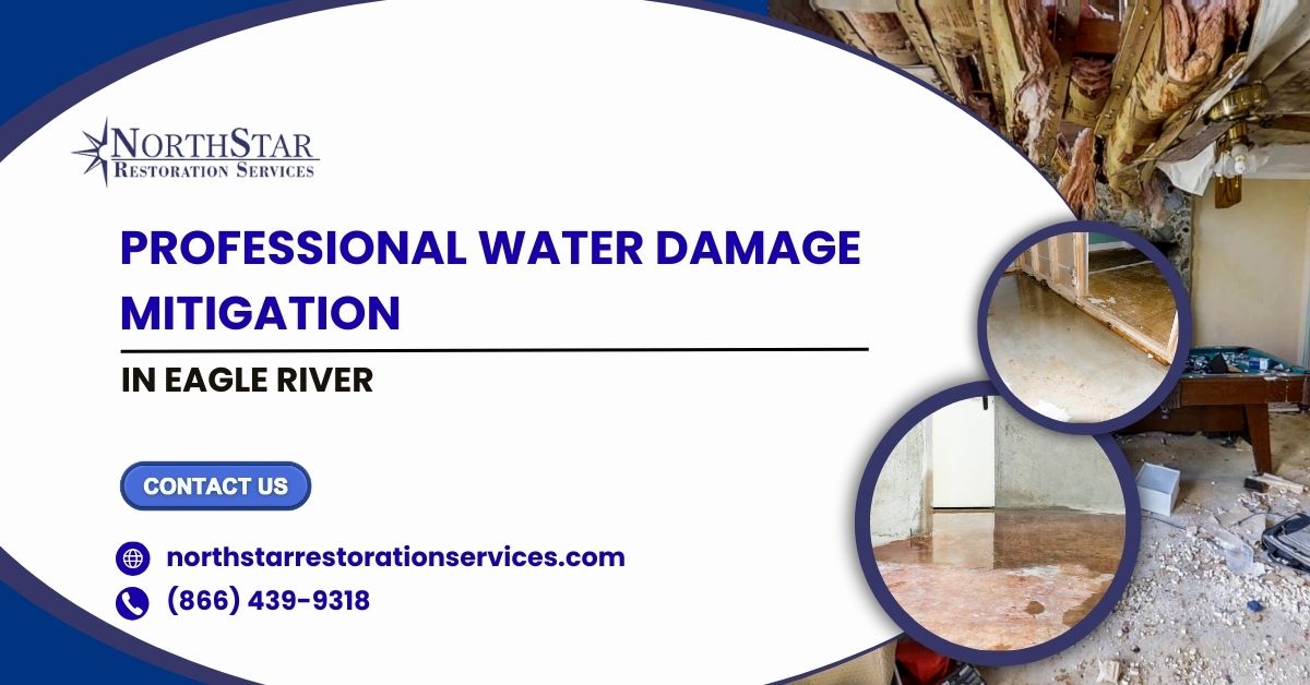 Professional Water Damage Mitigation in Eagle River