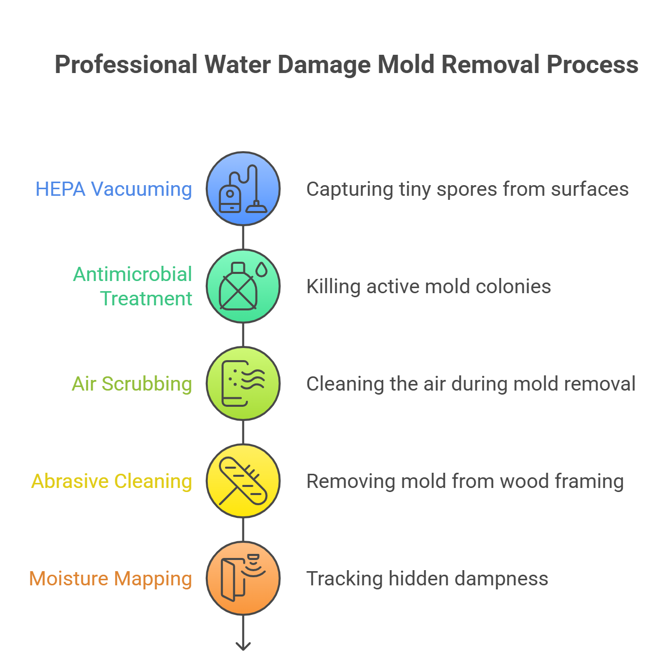 Top Five Types for Water Damage Mold Removal