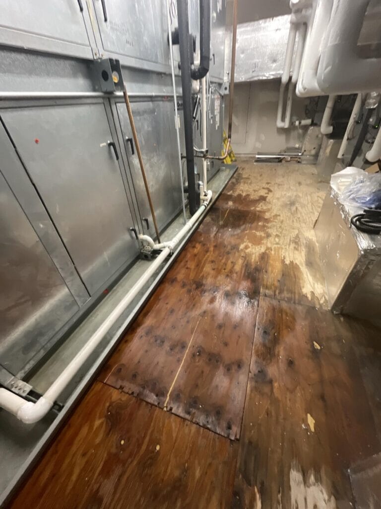 Water Removal Services in Wausau