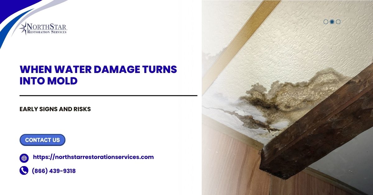 When Water Damage Turns Into Mold: Early Signs and Risks