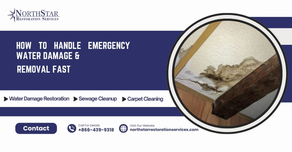 How to Handle Emergency Water Damage & Removal Fast