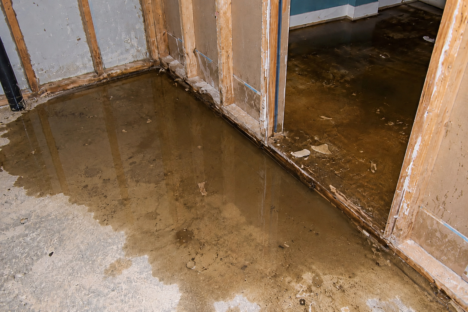 Sewage Cleanup
